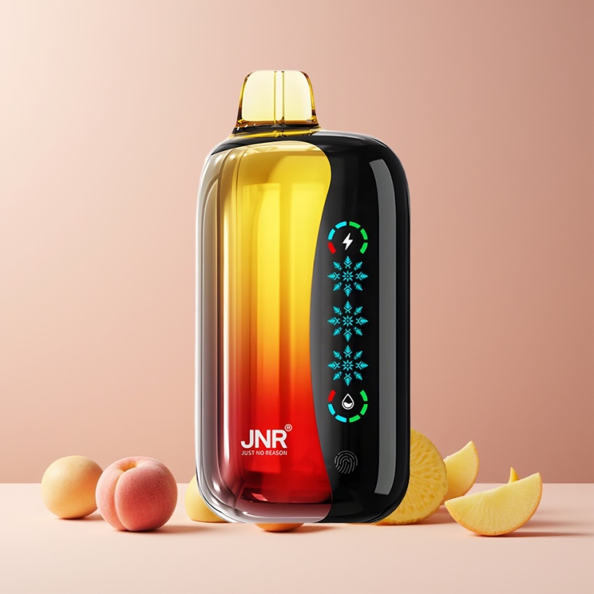 JNR Flex Ice 21000 Puff magyar nagykereskedés Barack Mango Ananász Touch Screen