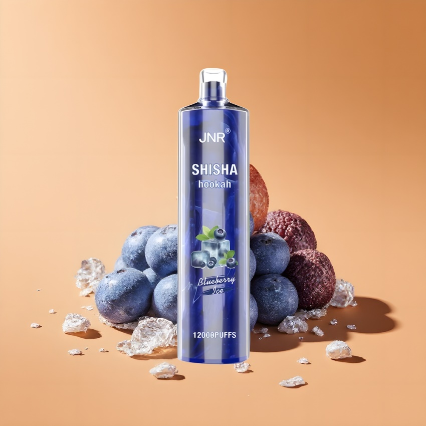 JNR Shisha Hookah 12000 Puffs 24ml E-liquid magyar nagykereskedés Áfonya Jég