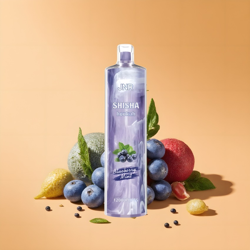 JNR Shisha Hookah 12000 Puffs 750mAh elektromos cigaretta áfonya menta magyar nagykereskedés