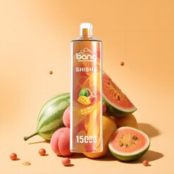 Bang Shisha 15000 Puffs DTL magyar nagykereskedés Barack Mango Görögdinnye