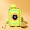 Digiflavor INSO 700 Puffs Dual-Mesh magyar nagykereskedés dinnye